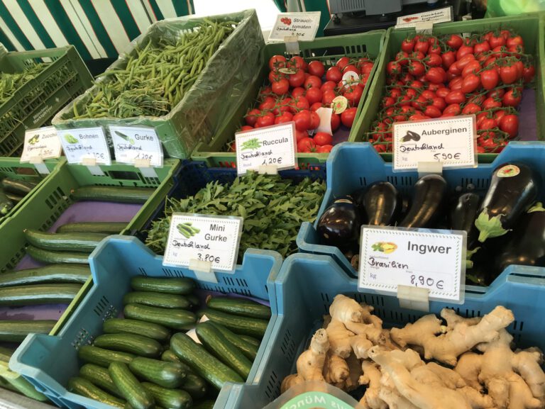 Säure-Basen-Haushalt